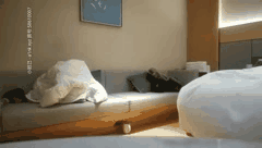 文轩探花系列_24位知名探花经典约会精选合集