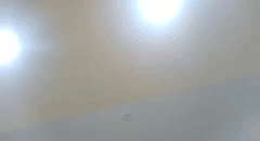 探花系列_多情佳人与浪漫恋歌的爱情故事合集