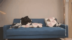 广东排骨哥午夜探花合集_约战KTV辣妹外围女_激情一夜难忘