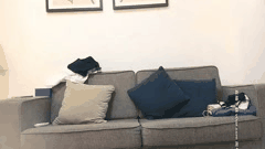 广东排骨哥午夜猎艳探花记_约炮商K辣妹外围女合集_欲火焚身激情一夜