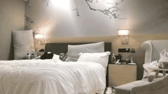 探花达人白嫖良家妇女合集12_绿帽刺激奥特曼约炮_假装良家真浪翻天