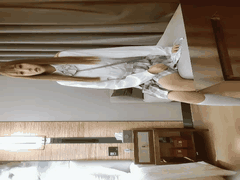 小东探花爱徒约极品JK黑丝少女_沙发后入白嫩翘臀狂野啪啪高潮迭起