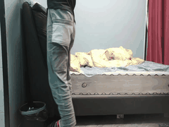 探花小鲜肉狂征服极品粉嫩00后_鲍鱼特写嫩爆全场_C杯美乳尽情蹂躏啪啪高潮迭起