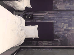 高颜值探花激情合集：二狗步宾美女啪啪高清第12部