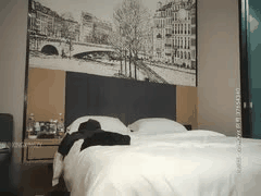 高颜值探花激情合集：二狗&步宾探花高清啪啪视频