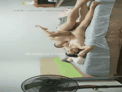 高颜值探花激情合集：二狗探花、步宾探花等多位美女高清啪啪10部