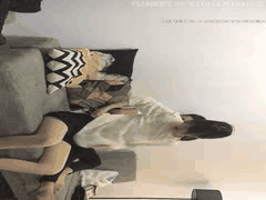 高颜值探花激情合集：二狗步宾众多美女高清啪啪视频