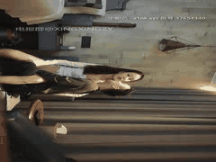 高颜值探花激情合集：二狗与步宾探花高清啪啪视频