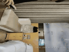 高颜值探花激情合集：二狗&步宾探花高清啪啪视频8