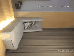 高颜值探花激情合集：二狗&步宾探花高清啪啪