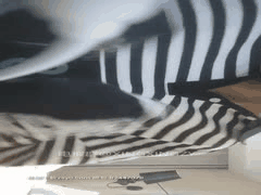 探花主播91约妹达人合集：美女聊天喝酒真心话大冒险全过程曝光_1