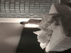 探花主播91约妹达人合集：美女聊天喝酒真心话大冒险全过程_1