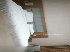 无情的屌国产约炮探花精品合集5：激情私密约会全记录