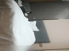 无情的屌：国产约炮大神探花作品合集4 激情实录