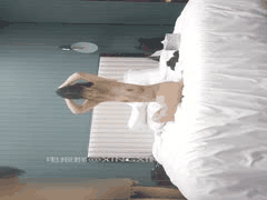 无情的屌约炮大神：国产探花精品作品合集3