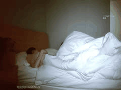 小马探花精品合集95部：国产高端探花激情全记录