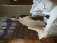 小马探花精品合集：95部国产高端探花激情不羁全记录