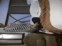 小马探花精品合集：95部国产高端探花激情全集