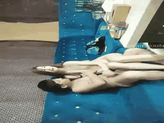 KTV歌厅探花主播淫乱盛宴：学生妹御姐白领齐聚狂欢