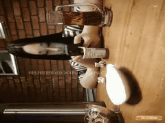 小马探花精品合集95部：国产高端外围女狂野不羁激情全记录