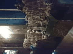 全网独家！学生妹御姐白领KTV探花淫乱大趴7