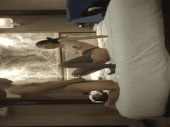 胖子传媒探花大神2022极品熟女约炮合集8：精品少妇人妻骚浪私拍