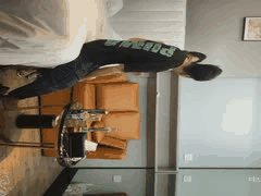 胖子传媒2022极品熟女人妻约炮合集2：探花大神专约精品少妇骚货