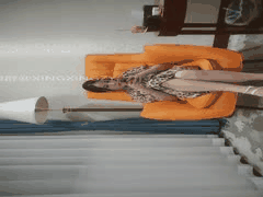 约炮大神欧阳专攻良家探花素人激情实录1