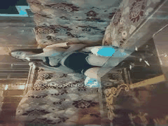 极品KTV探花：兼职学生妹白领的商K诱惑_5