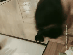 利哥探花直播：探索者利大无比的真实刺激约啪合集（少妇毒龙篇）_1