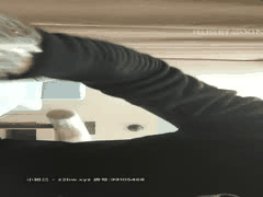 利哥探花直播：真实刺激约啪合集，少妇毒龙高潮迭起