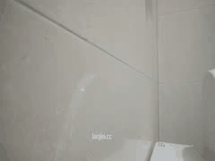 探花大神约到离异少妇：沙发半推半就激情两炮，对白超赞！