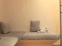 小宝寻花：高颜值极品大胸辣妹甜美少女装诱惑