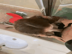 厕所激情后入：美艳熟女阿姨的隐秘诱惑