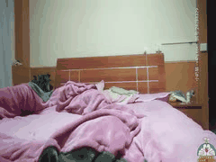 熟女技师深夜潜入足疗店 花2000元撩拨良家少妇直上床激战