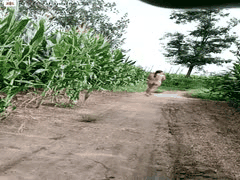 农村熟女玉米地自慰喷水狂潮 露天洗澡口交啪啪激战