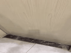 叶娇娇少妇女王诱惑：户外露出足交自慰丝袜高跟付费合集