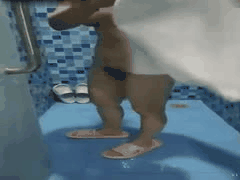 快手刘姐熟女福利大尺度长视频：骨感风骚少妇情趣内衣自慰啪啪合集