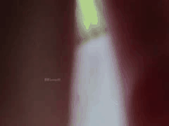 推特陆少约炮良家少妇：边聊边口交情绪拉满，后入肥臀爽到爆！