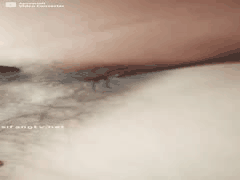 骨感熟女骚妇自慰诱惑：小奶大黑逼淫语浪叫，手指玩菊花特写不容错过