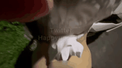 推特炮王快乐叔叔的激情付费福利18禁私密诱惑让你欲火焚身