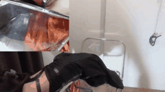 高颜值美女双镜头大秀狂欢_高潮喷水淫荡诱惑_看得血脉喷张欲罢不能