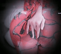 网易CC主播雅恩北北瑜伽裤定制秀精彩回顾