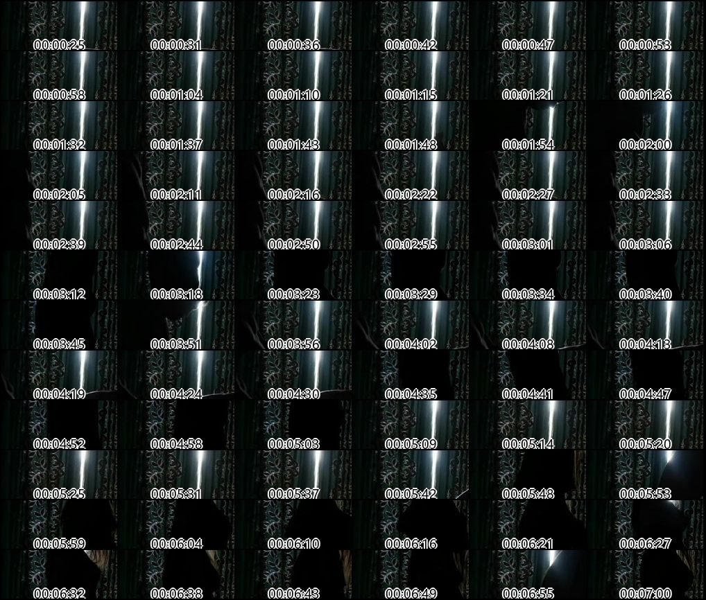 新系列精彩内容分享