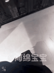 全新系列视频发布精彩内容不容错过