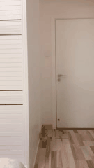 安然主播与炮友的激情互动令人心痒难耐的精彩瞬间