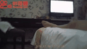 商场女神的91骑士系列精彩瞬间