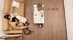 推特原创双姝Sce与小条的私密福利合集高价付费解锁极致诱惑