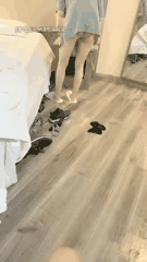 双飞3P合集半糖主播与不良少女的蜜汁互动_31