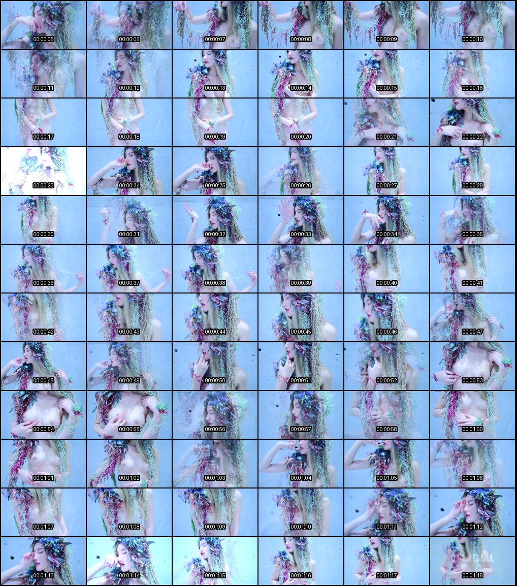 网红阿朱私拍合集大曝光_写真微密双人激情全记录_诱惑福利让你欲罢不能